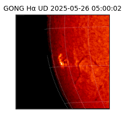 gong - 2025-05-26T05:00:02