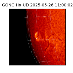 gong - 2025-05-26T11:00:02