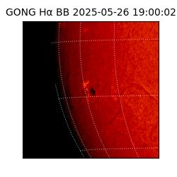 gong - 2025-05-26T19:00:02