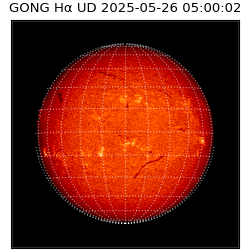 gong - 2025-05-26T05:00:02