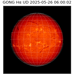 gong - 2025-05-26T06:00:02