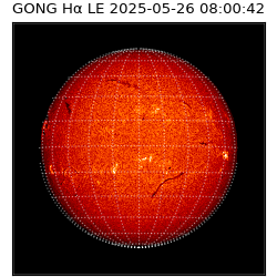 gong - 2025-05-26T08:00:42