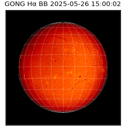 gong - 2025-05-26T15:00:02