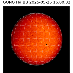 gong - 2025-05-26T16:00:02