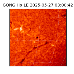 gong - 2025-05-27T03:00:42