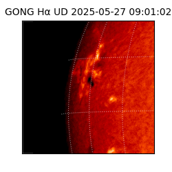 gong - 2025-05-27T09:01:02