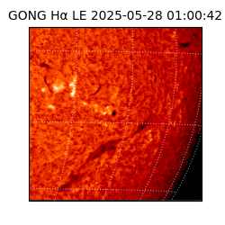 gong - 2025-05-28T01:00:42