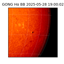 gong - 2025-05-28T19:00:02