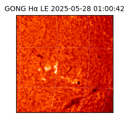 gong - 2025-05-28T01:00:42