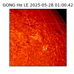 gong - 2025-05-28T01:00:42