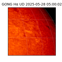 gong - 2025-05-28T05:00:02