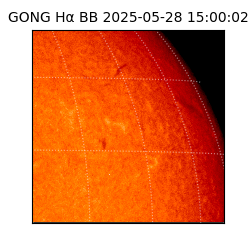 gong - 2025-05-28T15:00:02