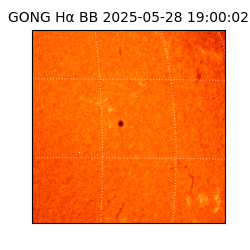 gong - 2025-05-28T19:00:02