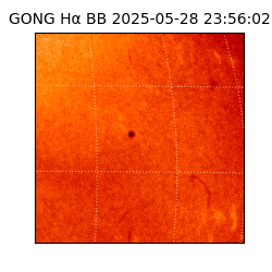 gong - 2025-05-28T23:56:02