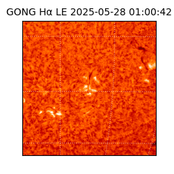 gong - 2025-05-28T01:00:42