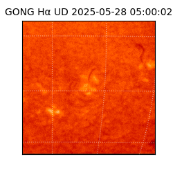gong - 2025-05-28T05:00:02