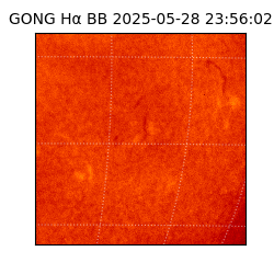 gong - 2025-05-28T23:56:02