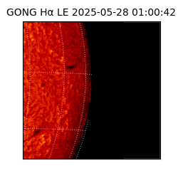 gong - 2025-05-28T01:00:42