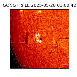 gong - 2025-05-28T01:00:42