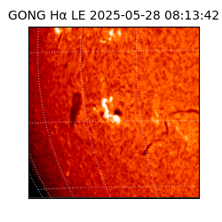 gong - 2025-05-28T08:13:42