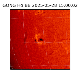 gong - 2025-05-28T15:00:02