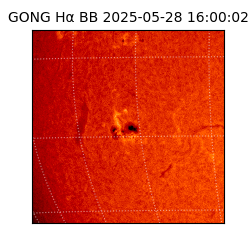 gong - 2025-05-28T16:00:02