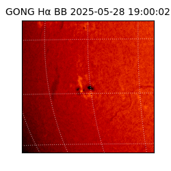 gong - 2025-05-28T19:00:02