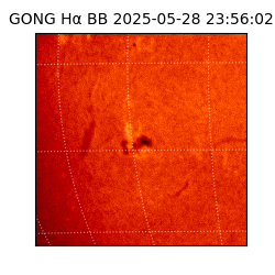 gong - 2025-05-28T23:56:02