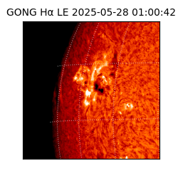 gong - 2025-05-28T01:00:42