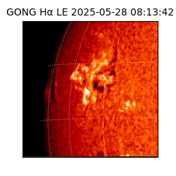 gong - 2025-05-28T08:13:42