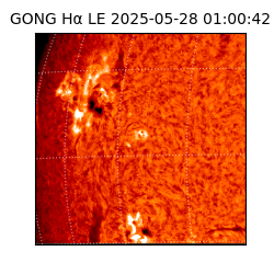 gong - 2025-05-28T01:00:42