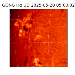 gong - 2025-05-28T05:00:02