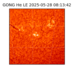 gong - 2025-05-28T08:13:42