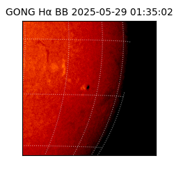 gong - 2025-05-29T01:35:02