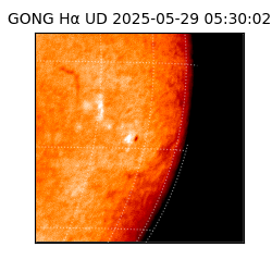 gong - 2025-05-29T05:30:02