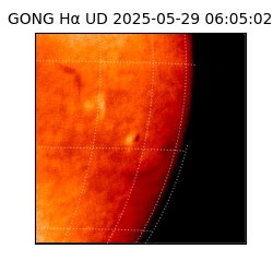 gong - 2025-05-29T06:05:02