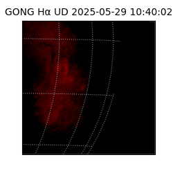 gong - 2025-05-29T10:40:02