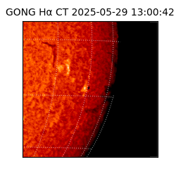 gong - 2025-05-29T13:00:42