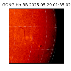 gong - 2025-05-29T01:35:02