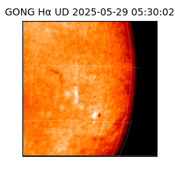 gong - 2025-05-29T05:30:02
