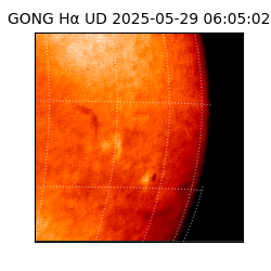 gong - 2025-05-29T06:05:02
