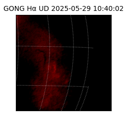 gong - 2025-05-29T10:40:02
