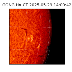 gong - 2025-05-29T14:00:42