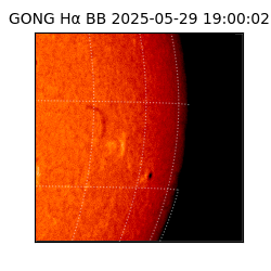 gong - 2025-05-29T19:00:02