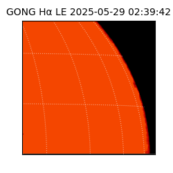 gong - 2025-05-29T02:39:42