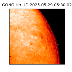 gong - 2025-05-29T05:30:02