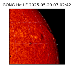 gong - 2025-05-29T07:02:42