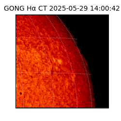 gong - 2025-05-29T14:00:42
