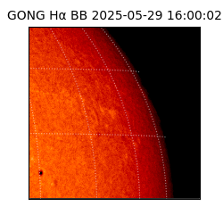 gong - 2025-05-29T16:00:02