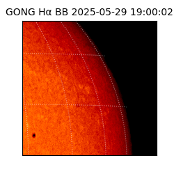 gong - 2025-05-29T19:00:02